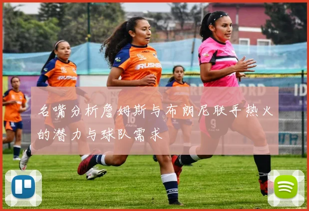 名嘴分析詹姆斯与布朗尼联手热火的潜力与球队需求